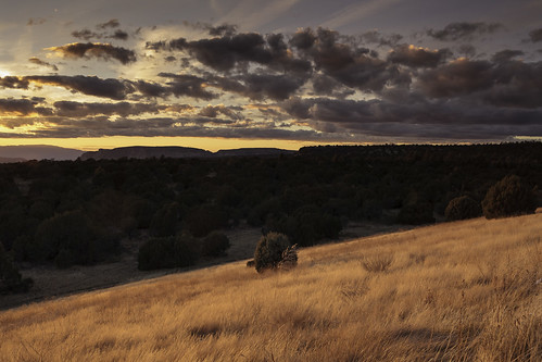 sunset arizona landscape