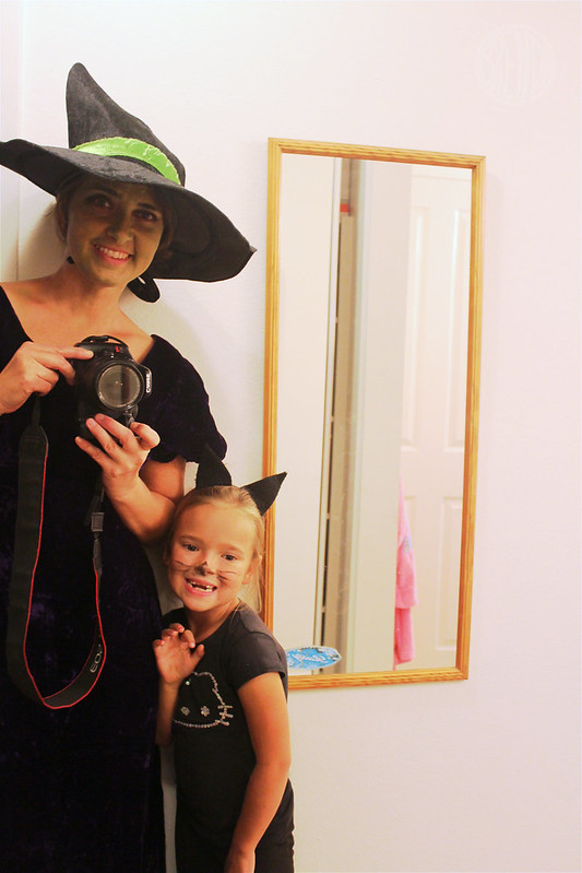 the witch and her cat