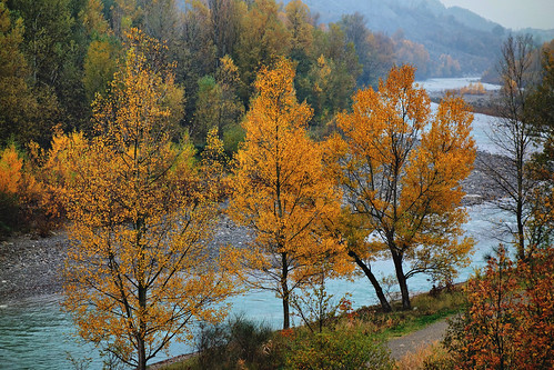 autumn colors landscape fiume panaro