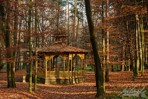 autumn trees nature forest nikon czechrepublic cz forestpark d800 podzim architektura mladaboleslav stromy příroda mladáboleslav centralbohemianregion nikkorafs5018g lesoparkštěpánka