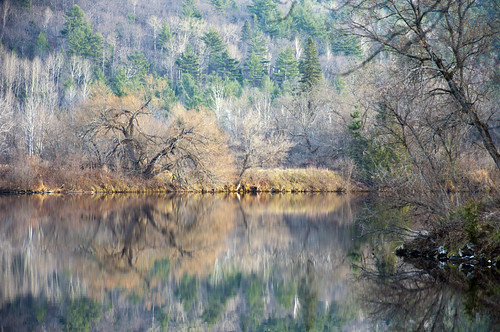 november trees reflections landscape wakefield gatineauriver