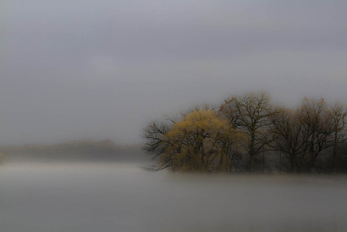 plants nature water weather fog wisconsin day unitedstates central lakes parks places beaverdam biological treesleaves beaverdamarea foghazesmoke