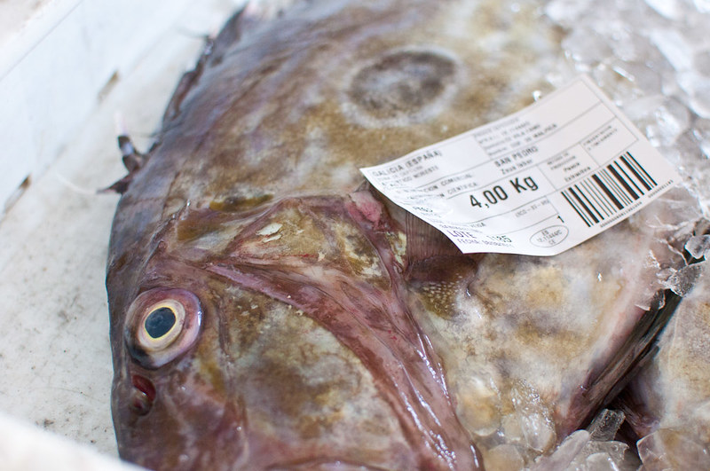 La lonja de pescado de Malpica de Bergantiños