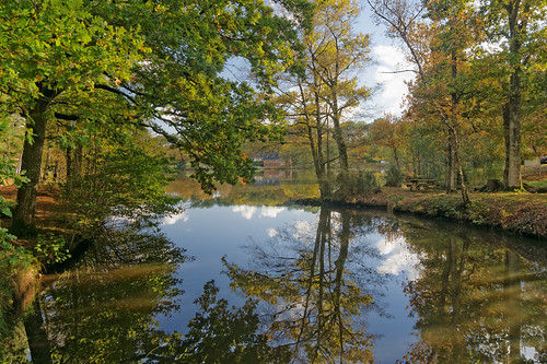 autumn automne britanny reflets réflections dslra550