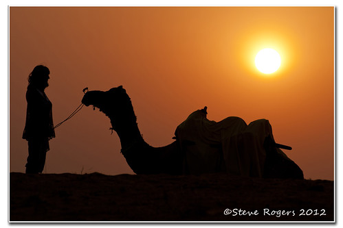 sunset india camel rajasthan osian d90 flickraward simplysuperb nikonflickraward flickrtravelaward