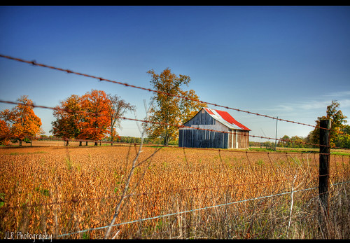 old autumn sky fall nature colors leaves clouds rural fence landscape outdoors photography photo nikon rust colorful seasons fallcolors wheat harvest rusty oldbuildings faded barbedwire weathered crops thesouth hdr oldbuilding barbedwirefence tinroof wondersofoxidation fencepost oldbarn ruralamerica whiteclouds beautifulsky rustyfence bracketed rustystuff skyabove vintagebuilding ruraltennessee ruralview retrobuilding ruralbuilding d5000 ibeauty southernlandscape hdraddicted allskyandclouds vintagebarn ruralbarn southernphotography screamofthephotographer jlrphotography photographyforgod nikond5000 worldhdr engineerswithcameras god’sartwork nature’spaintbrush photomatixbluesky harvestthruthebarbedwire