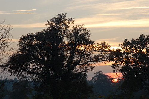 trees light sunset sky sun silhouette atardecer countryside suffolk sonnenuntergang pôrdosol sunsetlight eastanglia coucherdusoleil