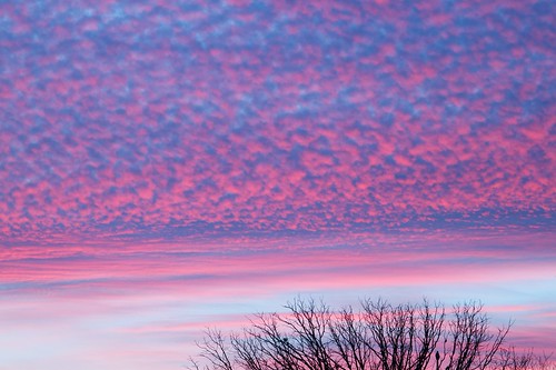 pink sunset sky cloud toronto nature december