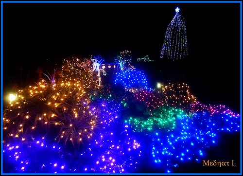 trees colors festive season lights medhathi mygearandme mygearandmepremium mygearandmebronze mygearandmesilver mygearandmegold mygearandmeplatinum mygearandmediamond