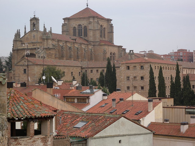 Fin de semana en Salamanca - Blogs de España - ETAPA ÚNICA (48)