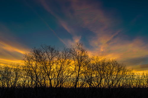 clouds december sky sunrise color trees
