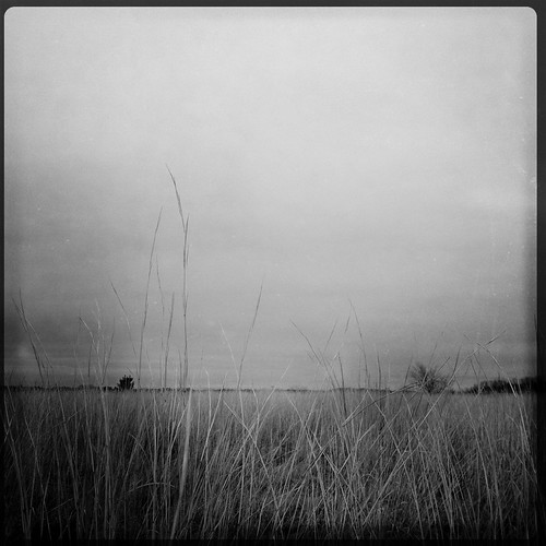 landscape iphone hipstamatic uploaded:by=flickrmobile flickriosapp:filter=nofilter
