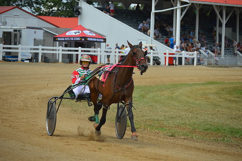 hartford fair croton ohio licking county track horse