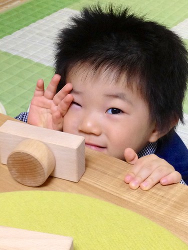 木製カメラととらちゃん (2012/11/17)