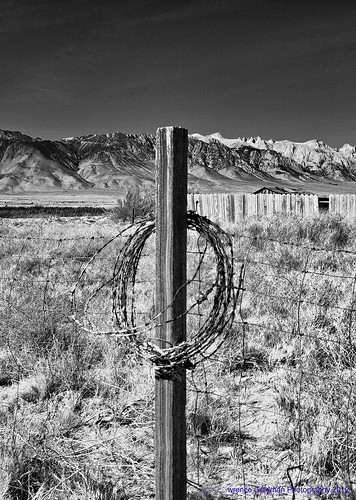 california fence blackwhite wire barbedwire owenslake keeler sierranevadamountainrange