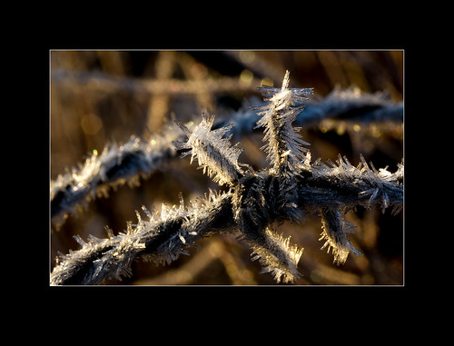norway landscape frost vestagder