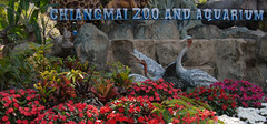 2012-11-21 Thailand Day 03, Chiang Mai Zoo