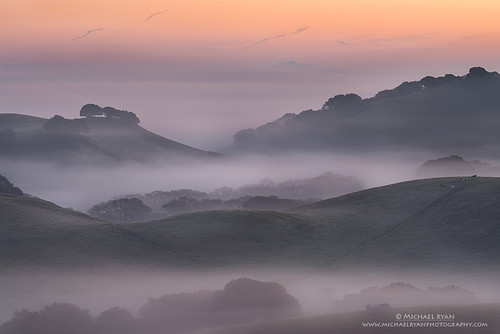 california county morning fog sunrise photography michael ryan marin hill hills wilson layers petaluma michaelryanphotography