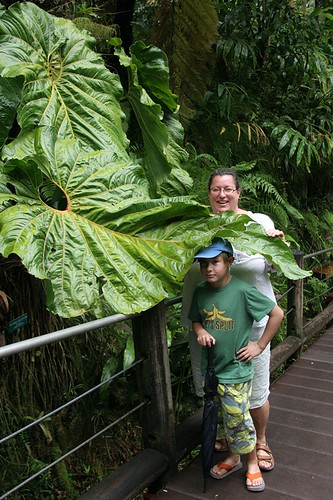 Hawaii Botanical Garden