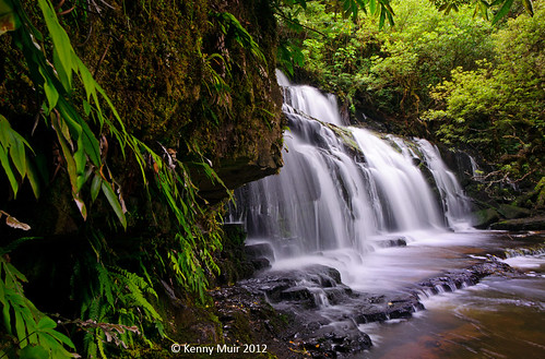 new waterfall rainforest zealand catlins southland purakaunui