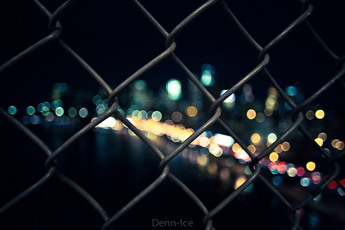 Fenced In