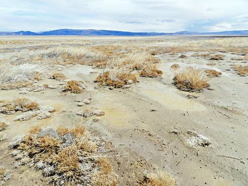 california usa lake water landscape unitedstates dry harper puddles lockhart nikoncoolpixp500