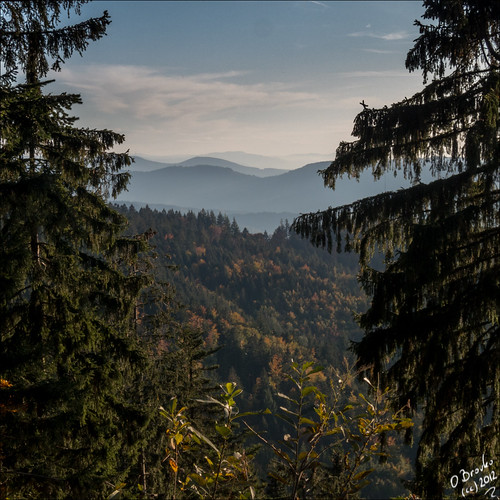 trip berg trekking hill baden schwarzwald blackforest wanderung hügel badenwürtemberg schliffkopf