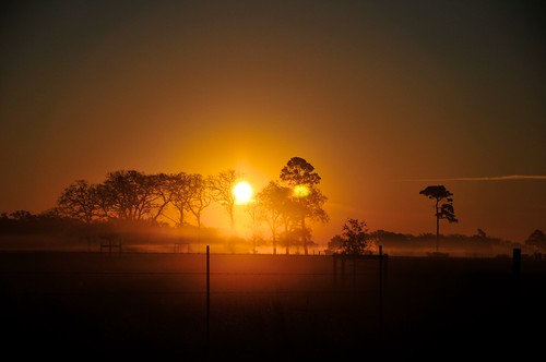morning favorite sunrise texas hempstead goldenhour greatnature