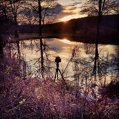 Catching another #sunset in #RingwoodStatePark - #ringwood, #nj