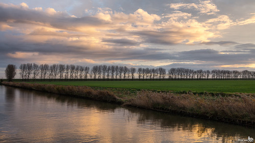 morning november trees holland reed clouds canon reflections widescreen nederland thenetherlands 169 channel middelharnis zuidholland goereeoverflakkee canonef24105mmf4lisusm bracom vanpallandtpolder ringexcellence dblringexcellence tplringexcellence canoneos5dmkiii bramvanbroekhoven