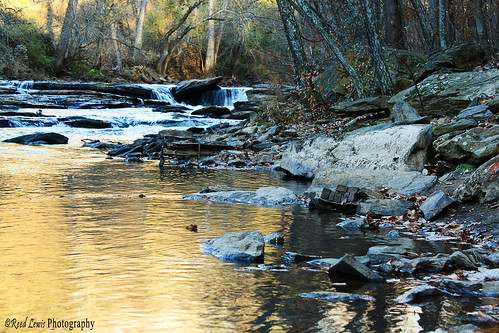 trees water canon river rocks stream