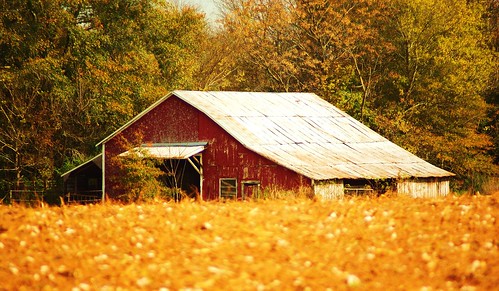 old fall barn