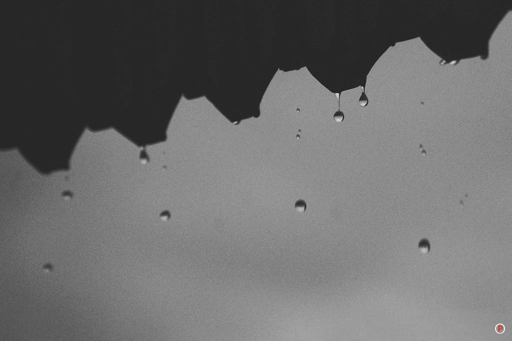Rainy Day - Water Drop