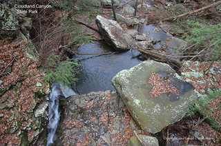 Cascade from Bridge to Sitton's Gulch Trail by USWildflowers, on Flickr