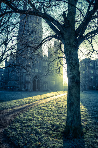 winter cold sunrise frost cathedral ely chilly