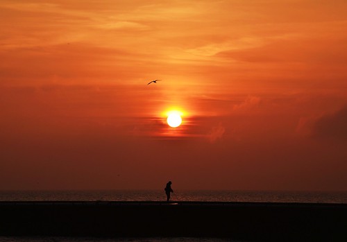 morning sun lake ontario canada water silhouette burlington sunrise pier fishing fisherman nikon bfg d5100