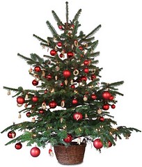 christmas-tree.jpg