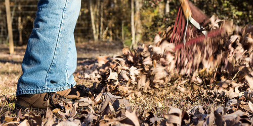 blue autumn fallleaves fall feet leaves autumnleaves rake jeans rakingleaves slowshutterspeed closeupphotography tallegrand