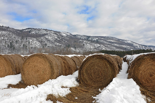winter snow canada field clouds landscape nikon quebec wheat hiver country hills neige pontiac hay nikkor bales hdr rolling afs2870mmf28d tonybailey antoinebailey algbailey