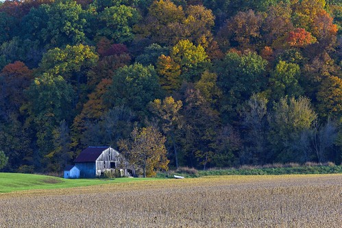 fall nature field barn landscape fallcolors missouri bluffs soybeans boonecounty missouririverbottoms