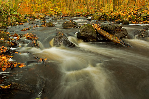 autumn trees water leaves creek forest river woods rocks stream sweden stones bushes halland thegalaxy mygearandme