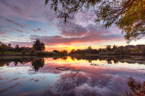 trees sunset reflection water clouds pond day cloudy hdr