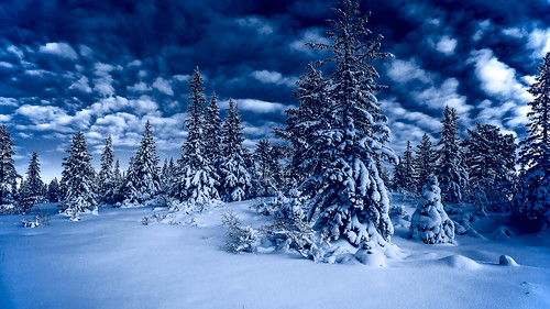 blue winter snow norway landscape nikon snowscape d600 buskerud