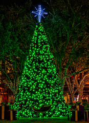 Hyde Park Village Christmas Tree