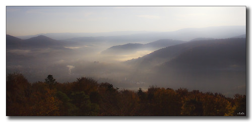 morning mist nature landscape nebel natur hills berge landschaft morgen schwarzwald blackforest ennodernov