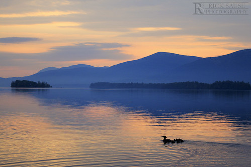 blue sunset sky orange lake seascape reflection animals sunrise islands ripple ducks lakegeorge ripples