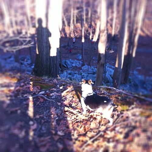 square squareformat iphoneography instagramapp uploaded:by=instagram foursquare:venue=4d8927eb1508a14334f1071e