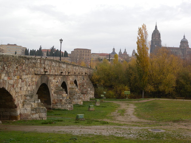 Fin de semana en Salamanca - Blogs de España - ETAPA ÚNICA (58)