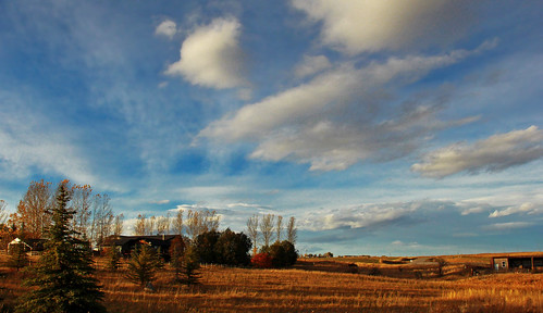 ranch autumn trees windows light sky nature field grass leaves clouds canon fence buildings landscape shadows farm prairie davidsmith calgaryalbertacanada eos60d