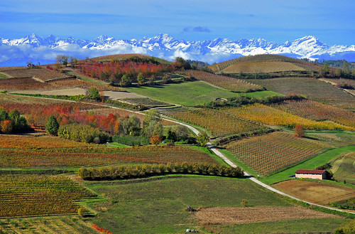 november autumn italy fall countryside vineyard italia novembre hill foliage piemonte autunno piedmont vigne colline monferrato platinumheartaward pinodasti